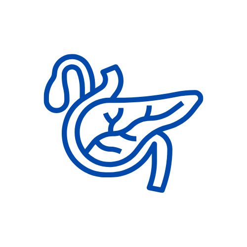 user-image